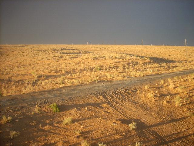 Die usbekische Steppe, in der Nähe von Nukus (UZ, Juli 2008)