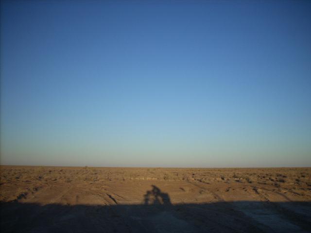 In the redsand desert (UZ, August 2008)