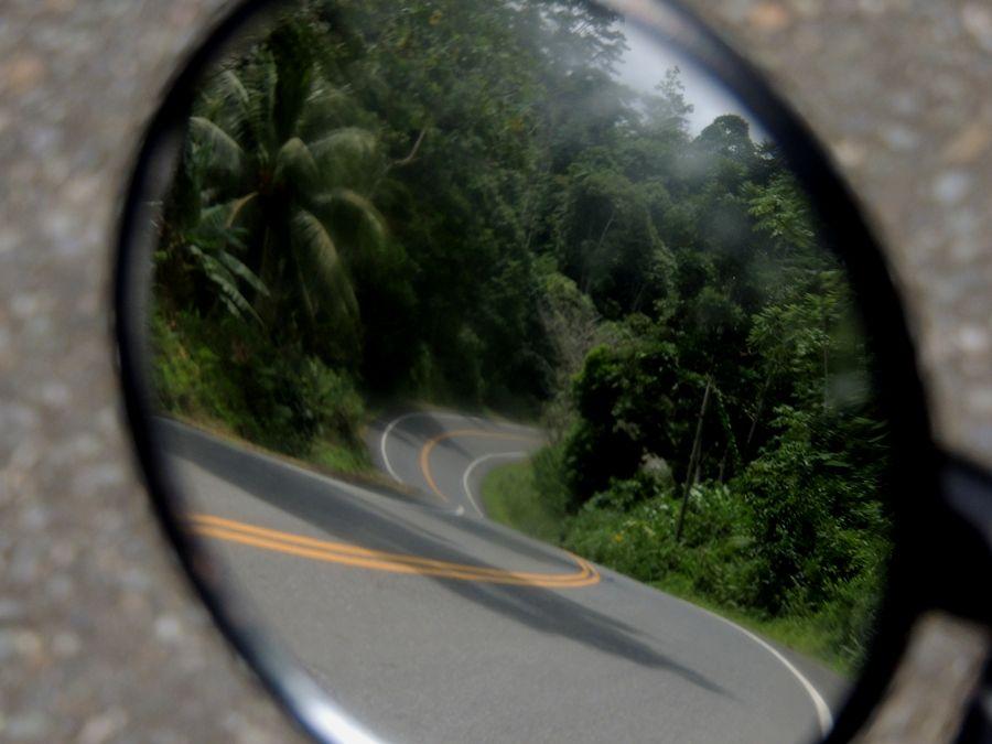 Schöner Regenwald entlang der Küstenstrasse (Bocas del Toro, Panamá, Juli 2013)